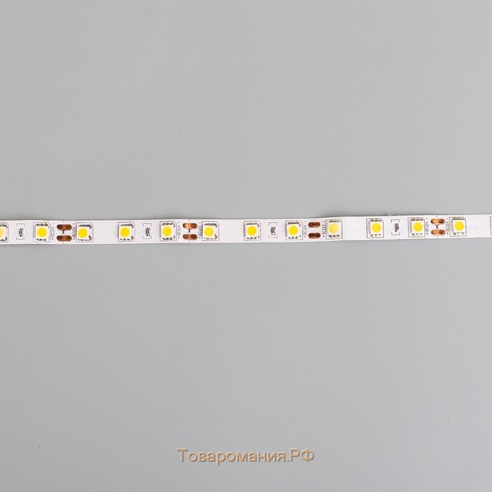 Светодиодная лента Ecola STD 5 м, IP20, SMD5050, 60 LED/м, 14.4 Вт/м, 12 В, 4200К