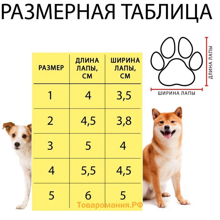 Ботинки "Кристмес", набор 4 шт, 2 размер, красные